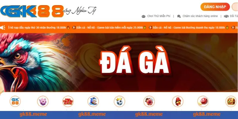 Khám phá đôi chút về sảnh đá gà GK88